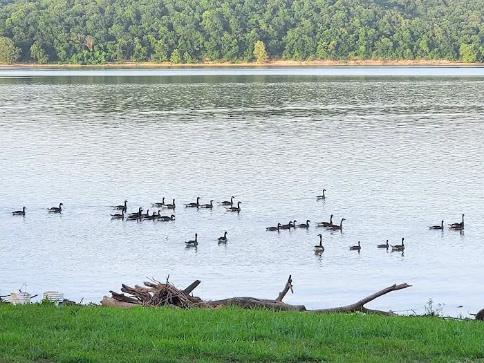 Osage Hollow RV Resort LLC Picture 9