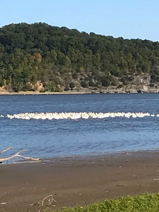 Osage Hollow RV Resort LLC Picture 5