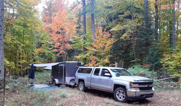 Cookson Lake Dispersed Campsite Picture 8