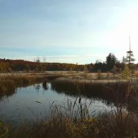 Cookson Lake Dispersed Campsite ico