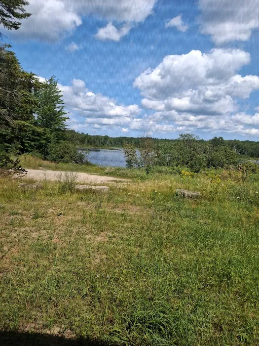 Cookson Lake Dispersed Campsite Picture 10