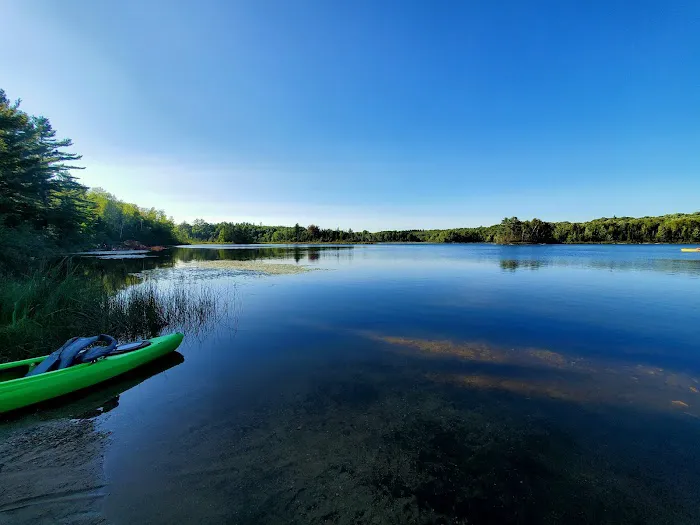 Cookson Lake Dispersed Campsite Picture 2