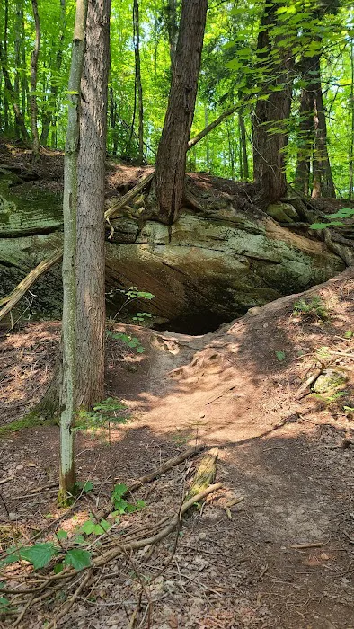 Coves Campground Picture 9