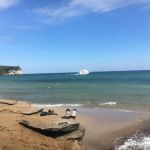 Chapel Beach Campground