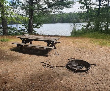 Swan Lake Campsites 2-4