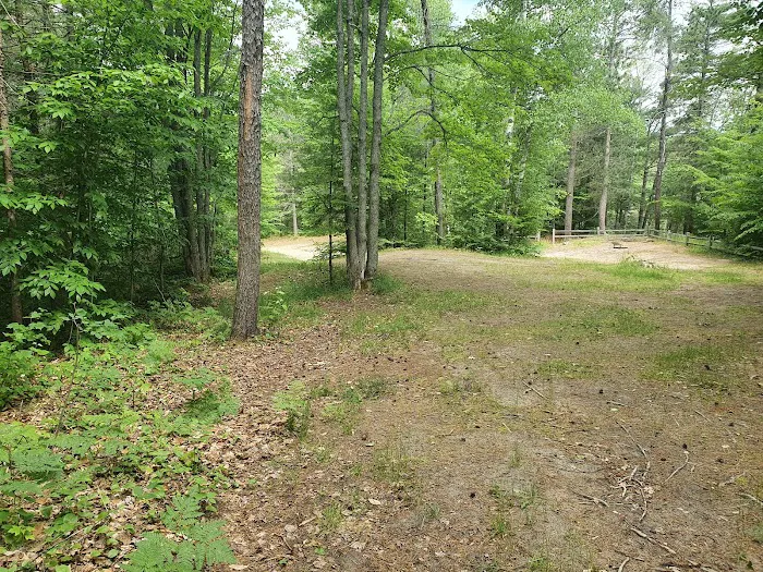 Swan Lake Campsite 1 and Boat Ramp Picture 10