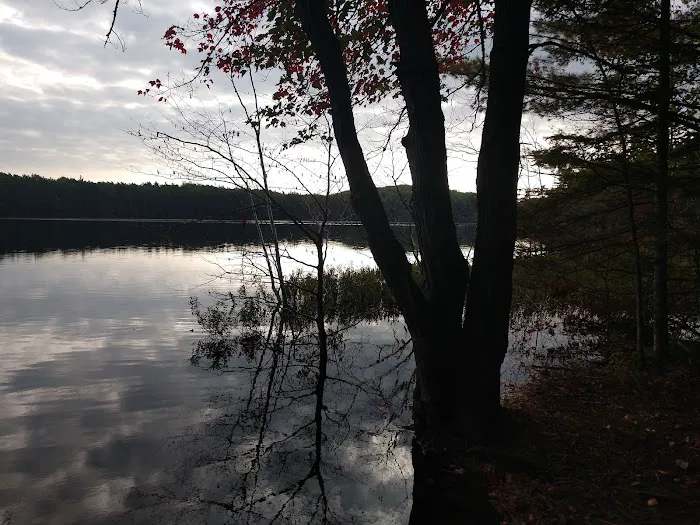 Swan Lake Campsite 1 and Boat Ramp Picture 1