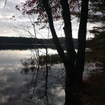 Swan Lake Campsite 1 and Boat Ramp