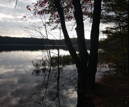 Swan Lake Campsite 1 and Boat Ramp