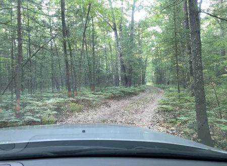 Gooseneck Lake Campsite #4