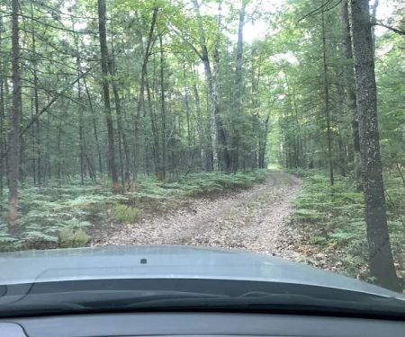 Gooseneck Lake Campsite #4