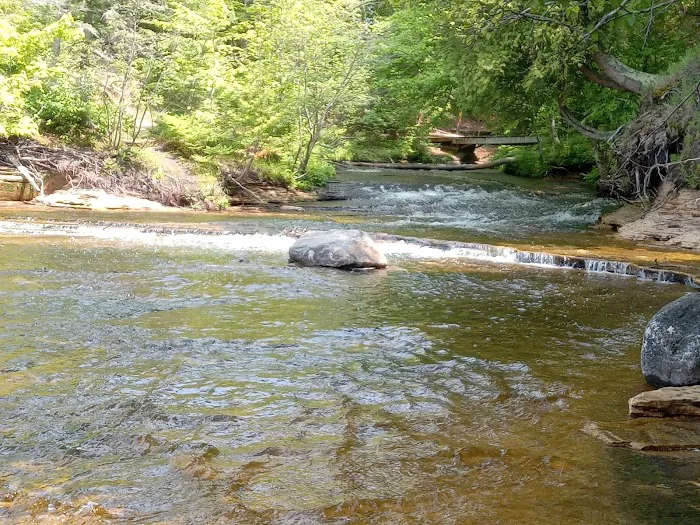 Mosquito Beach Campground Picture 5