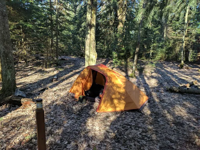 Mosquito Beach Campground Picture 1
