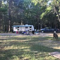 Chicago Lake Dispersed Campsite ico