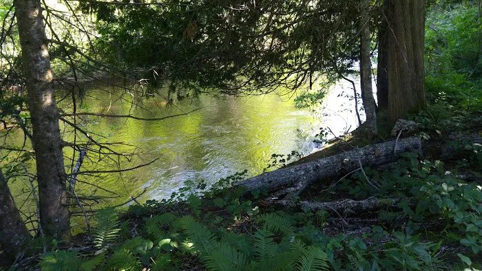 Flowing Well Campground Picture 7