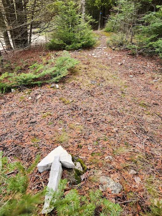 Portage Bay State Campground Picture 3