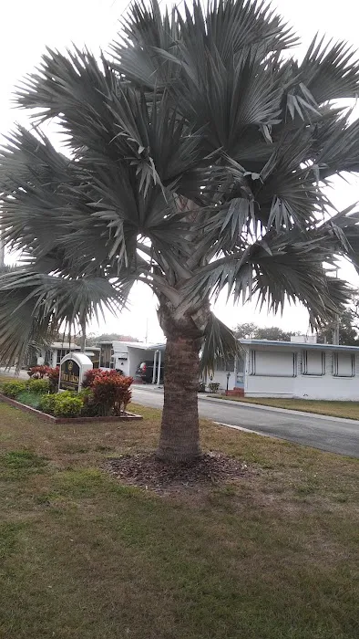 Hillcrest - Florida Picture 8