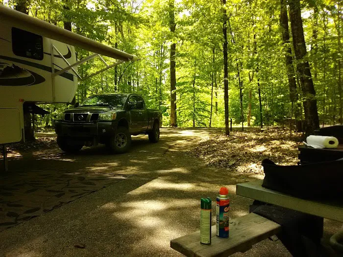Pete's Lake Campground Picture 8