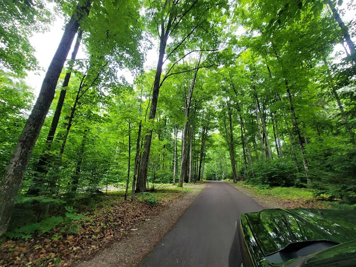 Pete's Lake Campground Picture 3