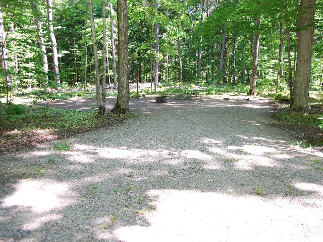 Pete's Lake Campground Picture 4