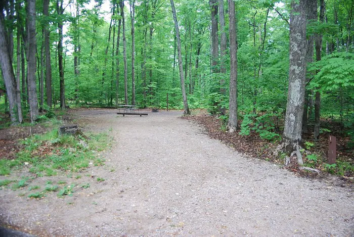 Pete's Lake Campground Picture 7