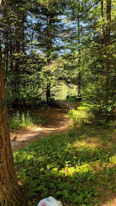 Widewaters Campground Picture 6