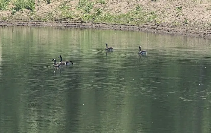 Hidden Lake Picture 1