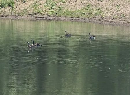 Hidden Lake
