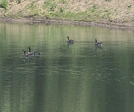 Hidden Lake