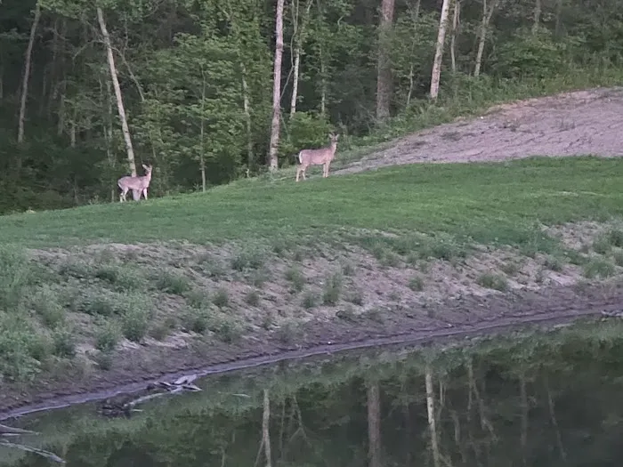 Hidden Lake Picture 4