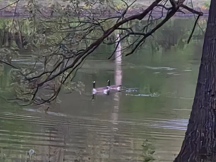 Hidden Lake Picture 2