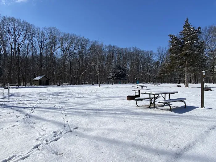 Wildcat Den Campground Picture 5