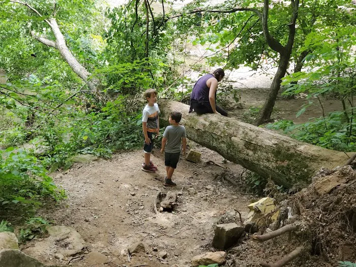 Wildcat Den Campground Picture 1