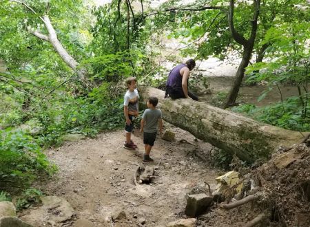 Wildcat Den Campground