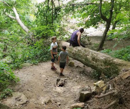 Wildcat Den Campground