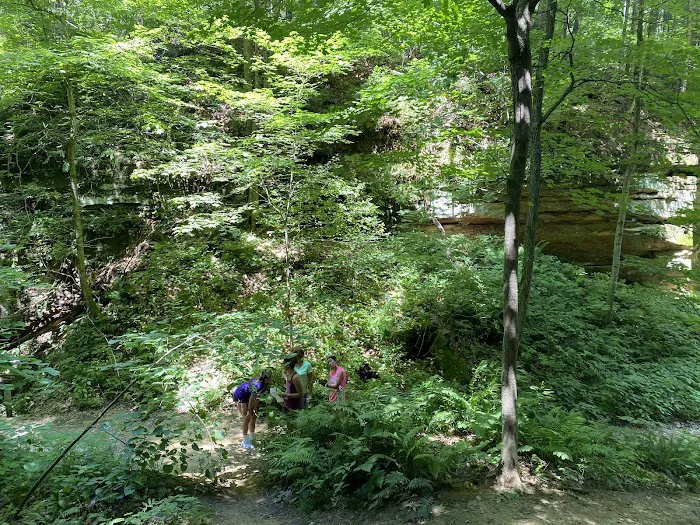 Wildcat Den Campground Picture 9