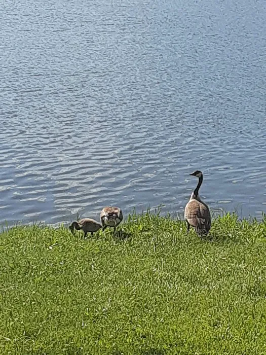 Spring Lake Park and Campground Picture 5