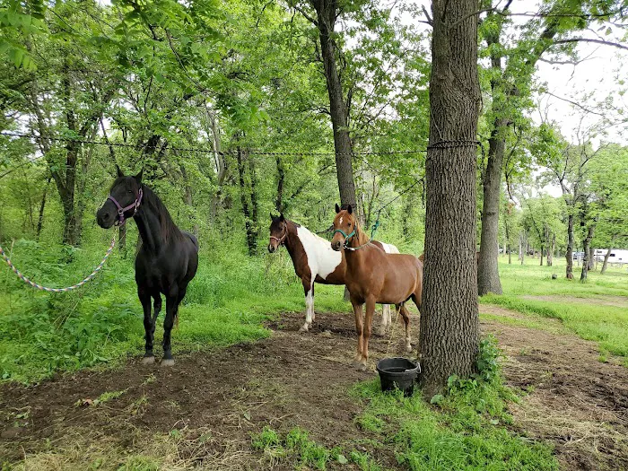 Sandy Oaks Picture 10