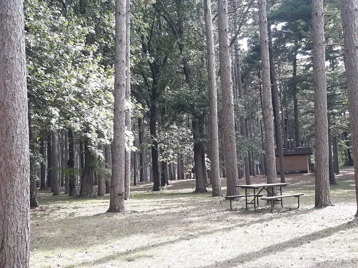Big River Campground Picture 8