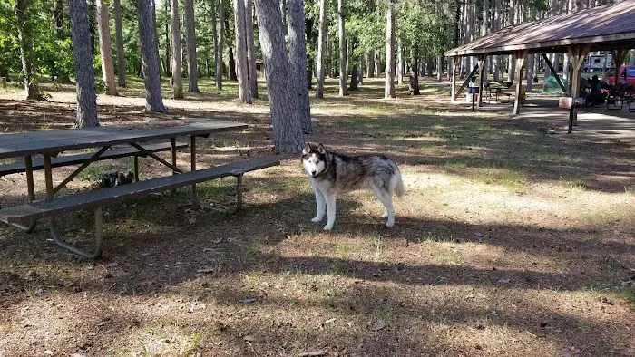 Big River Campground Picture 6