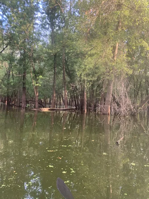 Lake Odessa Campground Picture 8