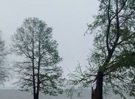 North Campground