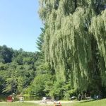 Tuckaway Campground