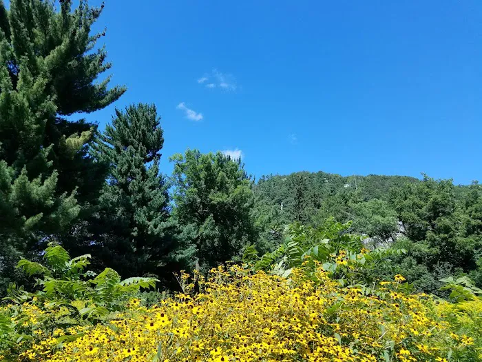 Ice Age Trail Campground Picture 1