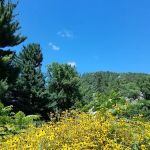 Ice Age Trail Campground