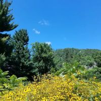 Ice Age Trail Campground ico