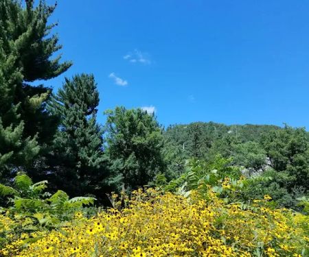 Ice Age Trail Campground