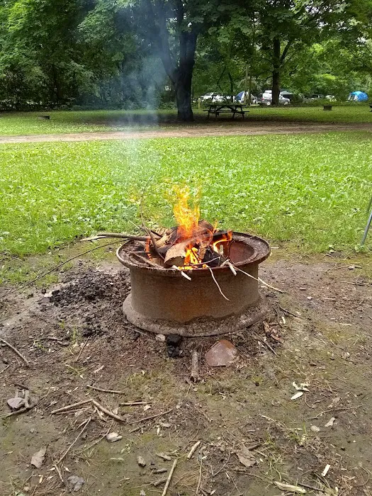 Nordic Pines Resort Campground Picture 6
