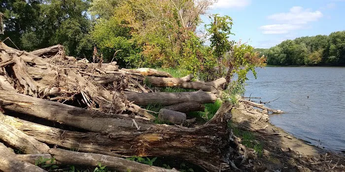 Massey Marina Campgrounds Picture 7