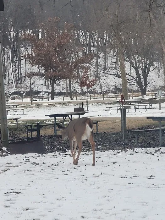Swiss Valley Campground Picture 9